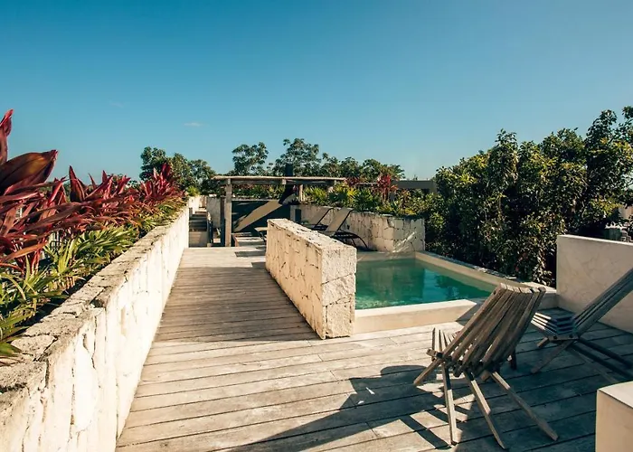 Vida Jungle 7 With Special Fee To Access Bardo Tulum