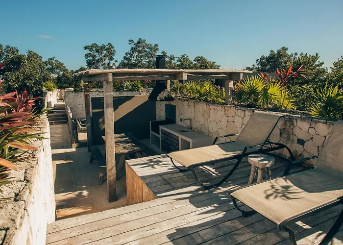 Vida Jungle 7 With Special Fee To Access Bardo *