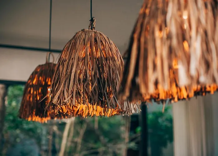 Vida Jungle 7 With Special Fee To Access Bardo * Tulum