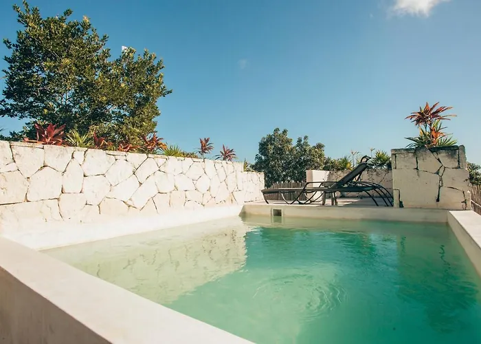 Vida Jungle 7 With Special Fee To Access Bardo *