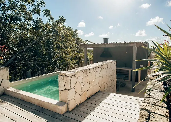 Vida Jungle 7 With Special Fee To Access Bardo