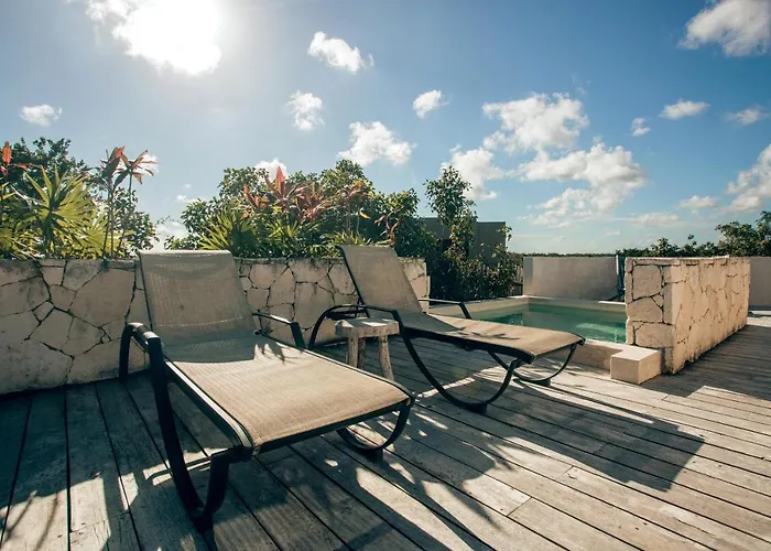 Vida Jungle 7 With Special Fee To Access Bardo Apartamento *