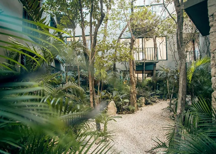Vida Jungle 7 With Special Fee To Access Bardo * Tulum
