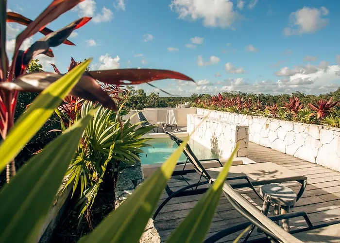 Apartamento Vida Jungle 7 With Special Fee To Access Bardo *