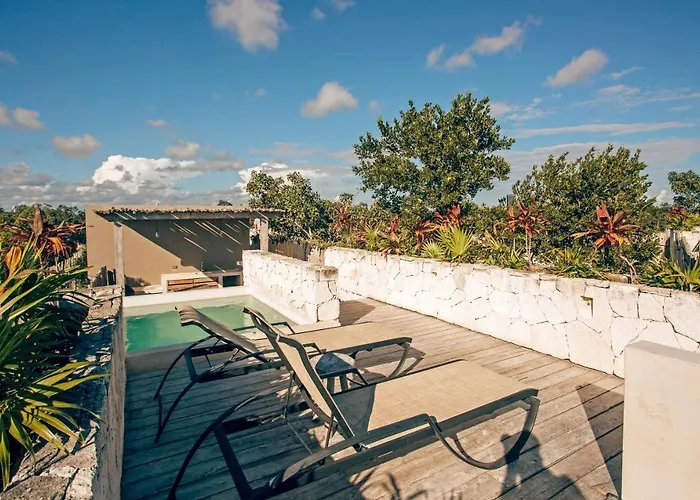 Vida Jungle 7 With Special Fee To Access Bardo * Tulum