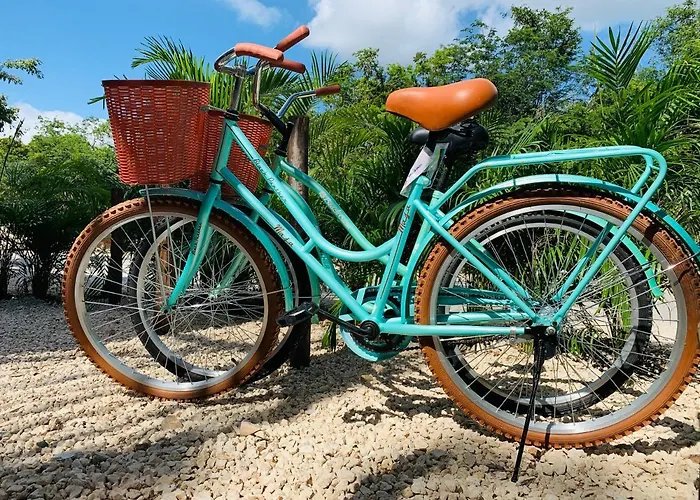 Vida Jungle 7 With Special Fee To Access Bardo Apartamento Tulum